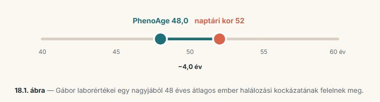 PhenoAge-ábra: biológiai kor 48, naptári kor 52.